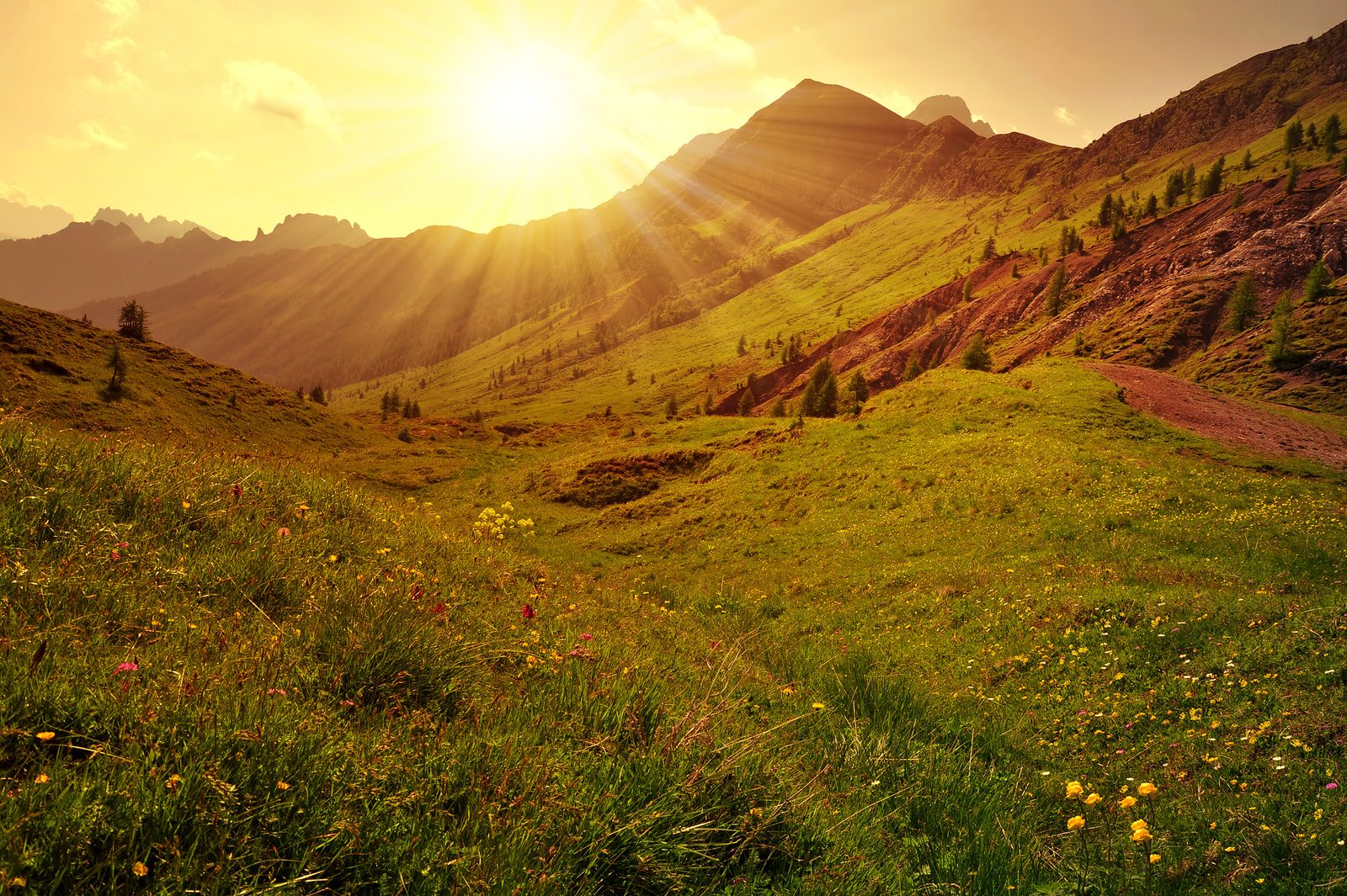 Sunrise breaking over a mountain summit above a green meadow scattered with wildflowers