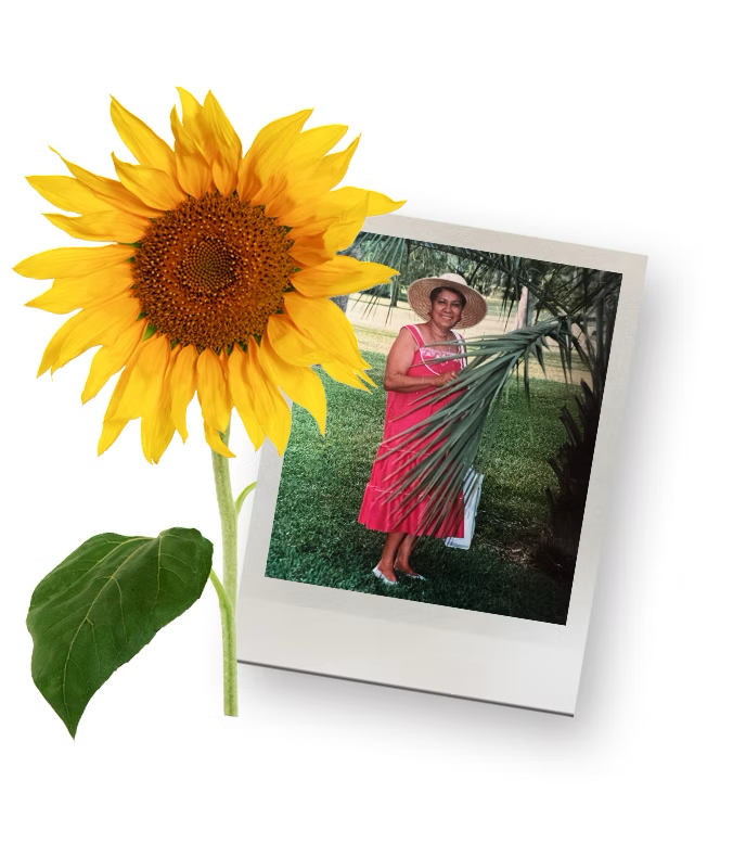 Dignity, in a sun hat, in the garden, set beside a sunflower